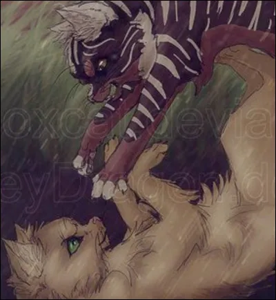 Tu arrêtes la bagarre et l'autre chat retourne d'où il venait. L'autre te remercie de l'avoir aidé. Il dit qu'il s'appelle Félix et que c'est un solitaire. Que lui dis-tu ?