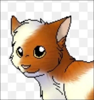 Félix te demande si tu veux toi aussi devenir un solitaire. Que lui réponds-tu ?