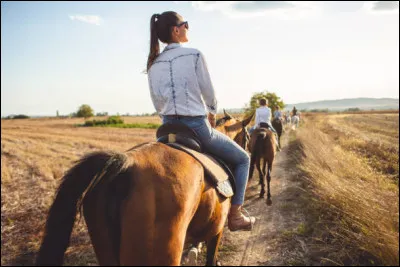 Quelles sont les règles non respectées sur cette image ?
(Attention, plusieurs réponses sont possibles)