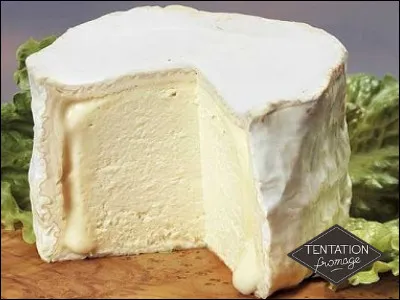 Quel est ce félin qui s'est déguisé en fromage pour attirer les souris ?