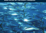 Quiz Des ressources naturelles menaces : les poissons