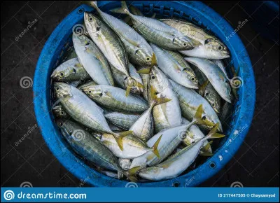 7 pays sont les pays qui pêchent le plus. Mais lesquels ? 
4 listes de pays composées des 7 pays qui pêchent le plus sont proposées ci-dessous. Quelle liste est correcte ?