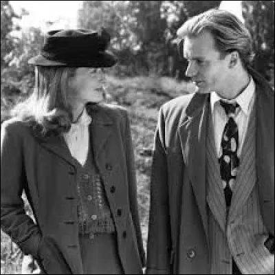 Quel chanteur donne la réplique à Meryl Streep dans le film "Plenty" en 1985 ?