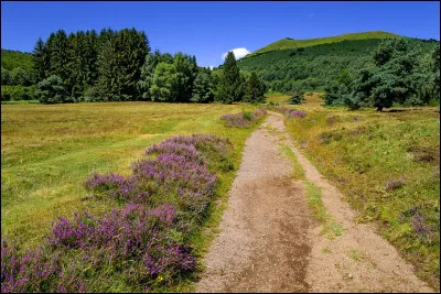 Qui chantait "La vie ne m'apprend rien, j'aimerais tellement m'accrocher, prendre un chemin" ?