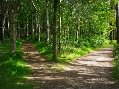 Si vous me parlez en allant droit au but, sans aucun détour, ni diplomatie, par combien de chemins n'y allez vous pas ?
