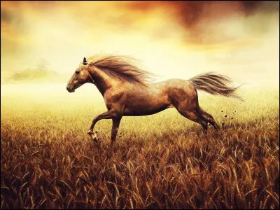 À quel groupe doit-on les paroles "Prends mon chemin enfin en chevauchée des étriers, les chevaux au galop on les retient sur les champs de blé ?