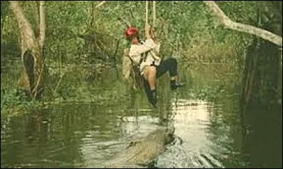 Le héros est en mauvaise posture comme dans une vignette d'Hergé qui est très ressemblante, mais dans quel album ?