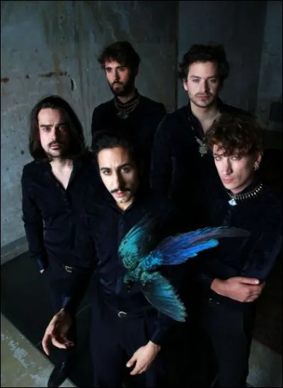 Feu ! Chatterton est un groupe de rock originaire d'Allemagne.