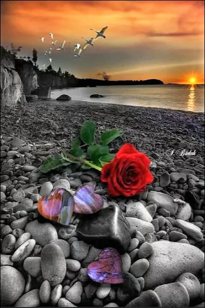 Quels grands acteurs partageaient l'affiche dans le film "Soleil rouge" ? (photo uniquement décorative)