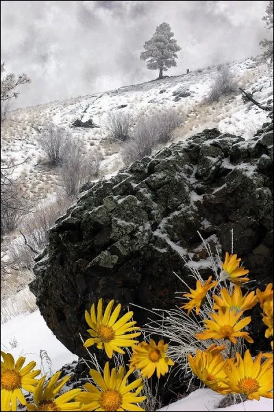 Parmi les records des phénomènes météo insolites, quel est le diamètre du plus gros grêlon jamais vu, tombé dans le Kensas ?