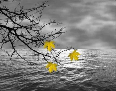 Parmi les phénomènes météorologiques, n'oublions pas le vent ! D'où souffle le vent nommé "Mistral" ?