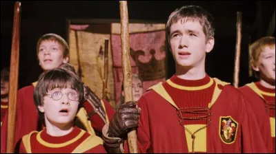 Combien y a-t-il de fautes existantes au Quidditch ?