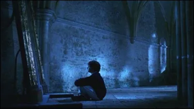 Selon Dumbledore, que voit-il quand il regarde dans le miroir de Riséd ?