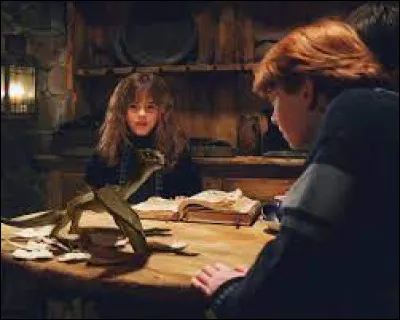 Qui finit à l'infirmerie après s'être fait mordre par Norbert le dragon ?