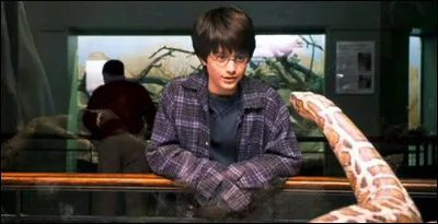 Comment s'appelle le meilleur ami de Dudley qui l'accompagne au zoo ?