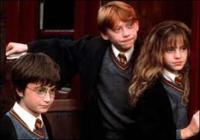 Selon Ron, il n'y a qu'un seul moldu dans sa famille : un lointain cousin. Quel est le métier de ce cousin ?