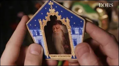 Selon sa carte Chocogrenouille, quels sont les deux hobbies préférés de Dumbledore ?