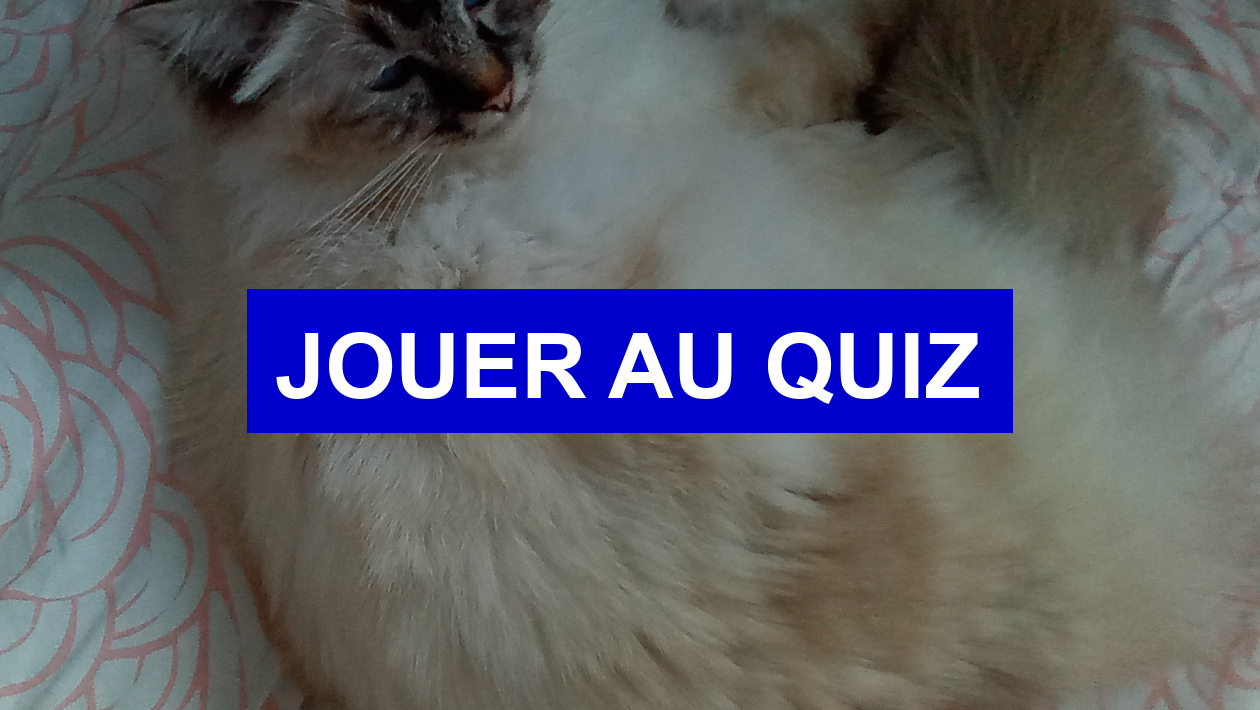 Quiz Animaux