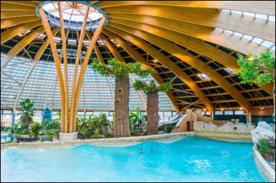 Tes parents hésitent sur le choix d'une villa pour les vacances. Ils te demandent de les aider à choisir ; et tu leur dis de prendre telle villa, car la piscine y est :