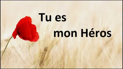 Quel personnage est extraordinaire à tes yeux ?