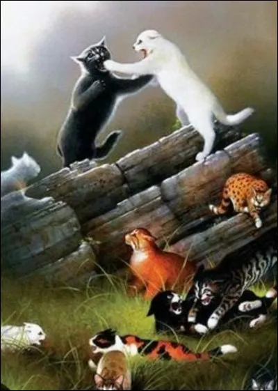 Nuage de fleurs te dit : 
''-Je te cherche car on a un problème ! Des chiens ont envahi notre territoire ! Viens nous aider ! Reviens au clan !''. Que fais-tu ?