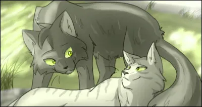 Tu annonces la nouvelle à tout le monde. Ils sont tristes mais en même temps heureux que tu sois le nouveau chef. Mais Nuage de Fleurs reste introuvable. Que fais-tu ?