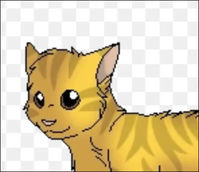 Tu vas enfin aller chercher Nuage de Fleurs après avoir élu Pelage de Branches comme lieutenant. Où cherches-tu d'abord ?