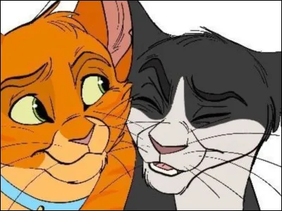 Félix redevient enfin conscient ! Il te demande de le suivre jusqu'à sa cabane pour parler...
Que fais-tu ou que dis-tu ?