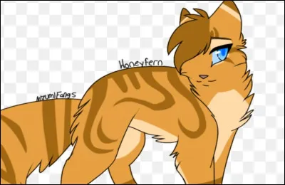 Tu vas prévenir ton clan que tu deviens solitaire. Mais Nuage de Fleurs ne veut pas te quitter. Elle veut devenir solitaire avec toi. Que lui dis-tu ?