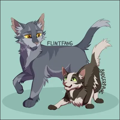 Jusqu'à quel âge un chaton doit-il attendre avant d'être nommé apprenti ?