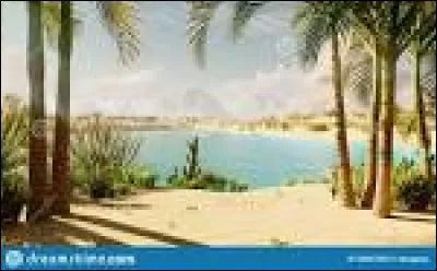 Un Français, un Anglais et un Belge sont sur une île déserte. La côte la plus proche est à 200km.
L'Anglais se lance et part à la nage : 10 km , 30 km, 50 km...... et se noie.
Le Français se lance également à la nage : 10 km, 30 km, 50 km, 70 km, 90 km, 110 km.... et se noie. 
Le Belge se lance encore à la nage 10 km, 50 km, 70 km, 90 km,130 km, 150 km, 199 km. Que fait-il ensuite ?