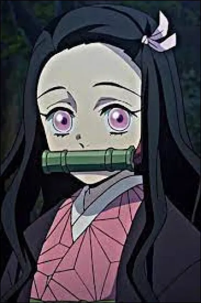 Comment s'appelle ce personnage ?