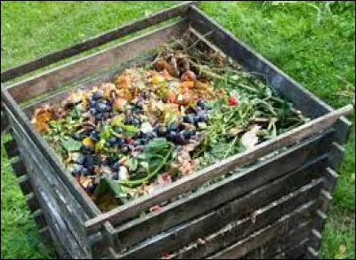 Où est-il conseillé de mettre la plupart de nos déchets organiques ?
