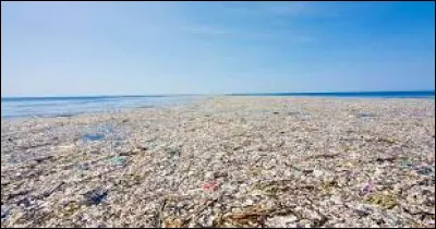 On le décrit comme une immense plaque de déchets, c'est le 7e continent de plastique. Dans quel océan évolue-t-il ?