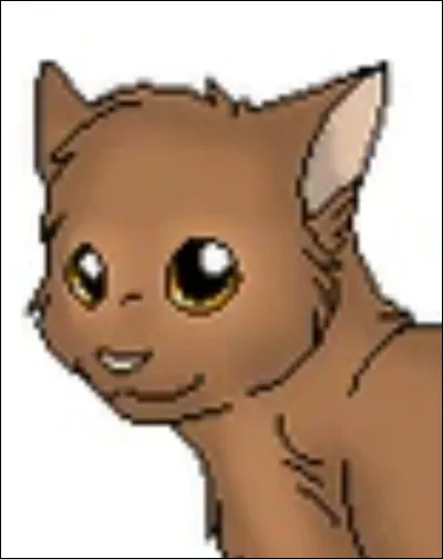 Tu décides d'aller chasser dans la forêt mais tu te perds... Comment fais-tu ?