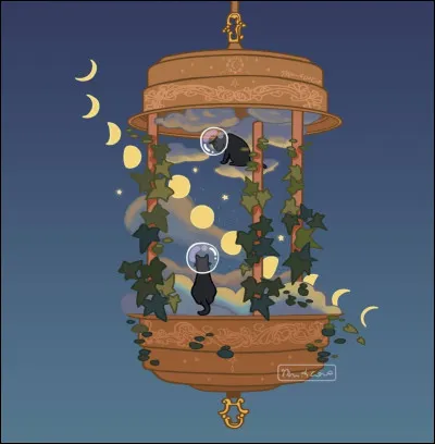 Quel genre préfères-tu ?