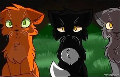 Vrai ou faux ? Nuage de Jais est plus vieux que Plume grise.