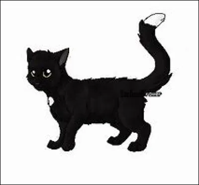 Où est-il actuellement ?