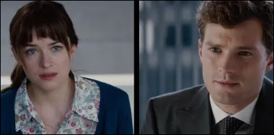 Trouvez le bon titre : "50 nuances de ...".