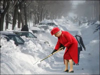 Le titre correct est : "La Reine ...".