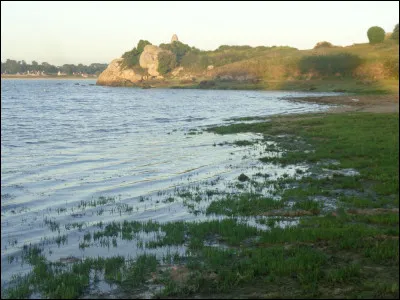 Sur internet, à quel pays ou territoire autonome correspond l'extension ".nu" ?