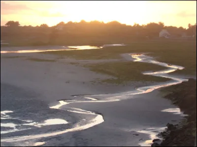Quel terme d'origine grecque désigne la peur liée à la nudité, que ce soit la sienne ou celle d'autrui ?