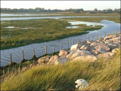 De quelle ancienne colonie portugaise, désormais indépendante, la chanteuse Cesária Évora, surnommée "la diva aux pieds nus", était-elle originaire ?