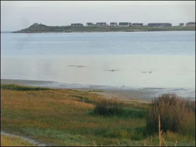 Dans quel pays européen le premier camp de vacances naturiste fut-il fondé dans les années 1910 ?