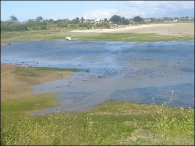 Comment se prénomme le compagnon de Mouts dans l'émission télévisée d'aventure "Nus et culottés" diffusée sur France 5 ?