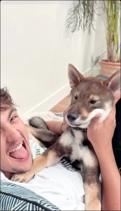 Pourquoi l'a-t-il nommé ainsi ?