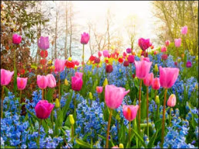 Que signifie "faire le ménage de printemps" ?