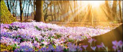 Comment se nomme la déesse romaine de la fertilité et du printemps ?