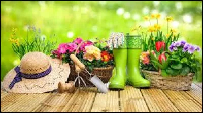 Dans quel département d'Occitanie se déroule "Le Printemps du Rire", un festival d'humour ?