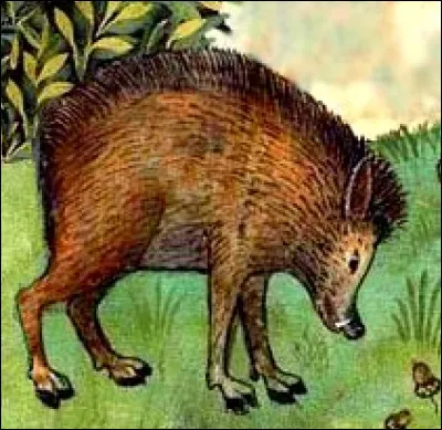 Quel est le nom du sanglier dans le "Roman de Renart" ?